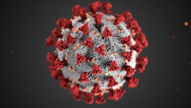 Virus Covid-19